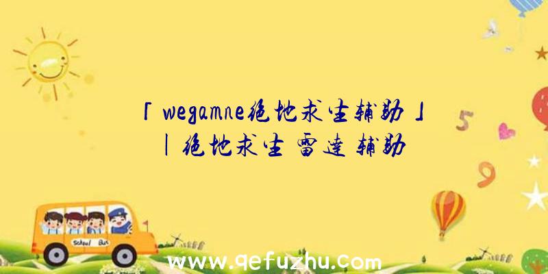 「wegamne绝地求生辅助」|绝地求生